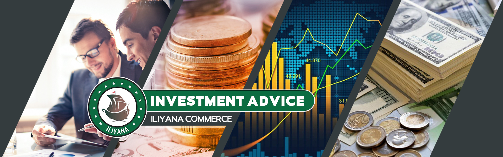 Investment Counselling